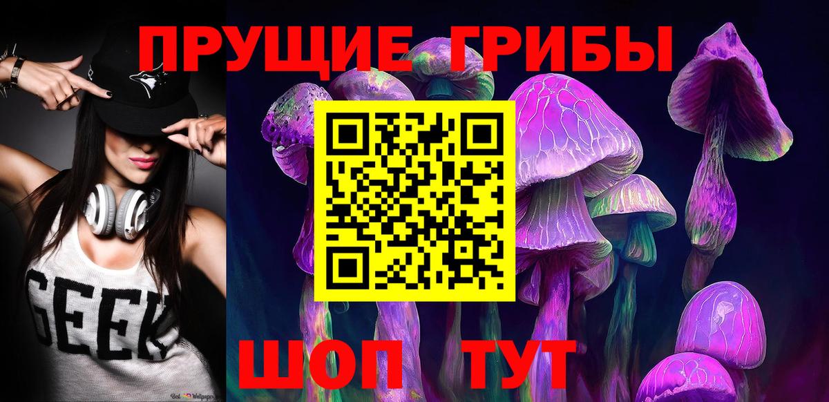 Псилоцибиновые грибы Psilocybe Павловский Посад