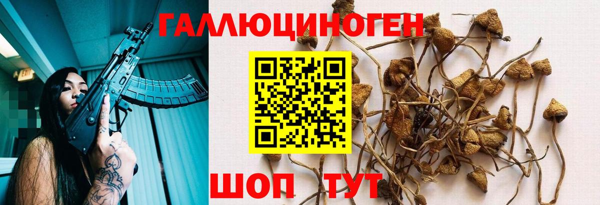 Псилоцибиновые грибы мицелий  Вход с VPN  Псилоцибиновые грибы Psilocybe  Павловский Посад 